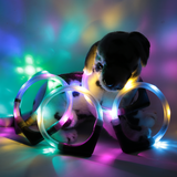 LED Light dog collar LEUCHTIE Easy Charge USB ice blue-vanilla 52,5 cm