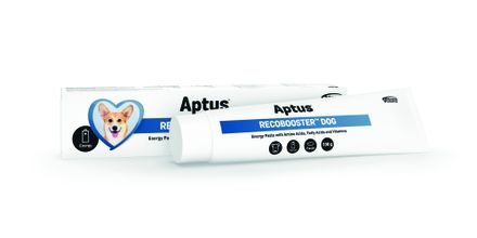 Aptus Recobooster DOG paste 100 g BEST BEFORE 31/07/2024