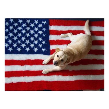 DRYBED Premium Vet Bed American Flag 150 x 100 cm