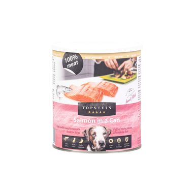 Topstein Salmon in a Can 800 g